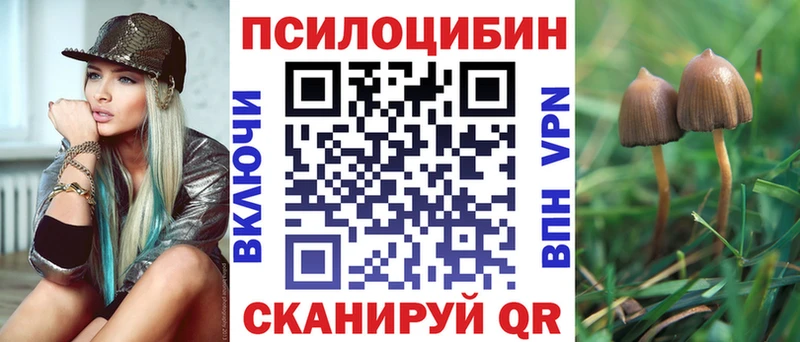 Галлюциногенные грибы MAGIC MUSHROOMS  где купить наркоту  Харовск 
